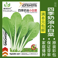 蔬菜种子四季播种阳台农家盆栽香菜菠菜生菜韭菜小葱草莓籽孑大四 均码 四季奶油小白菜约600粒