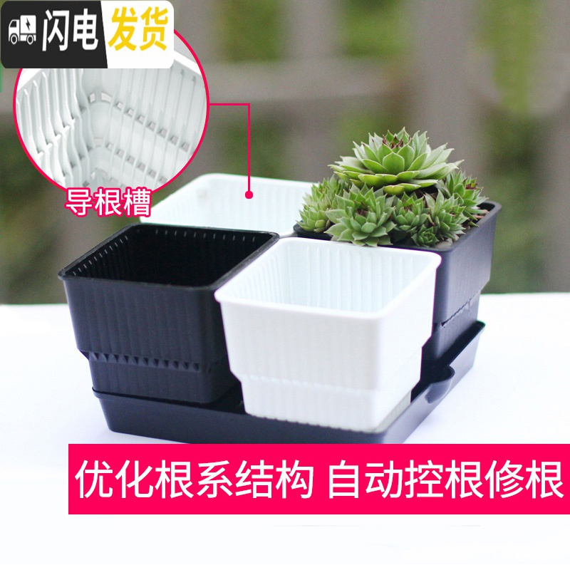 三维工匠多肉花盆带托盘肉肉套装组合透气塑料控根控型盆器 [2套][0.9元]小黑托+4个黑盆(7cm盆) 小花盆容器