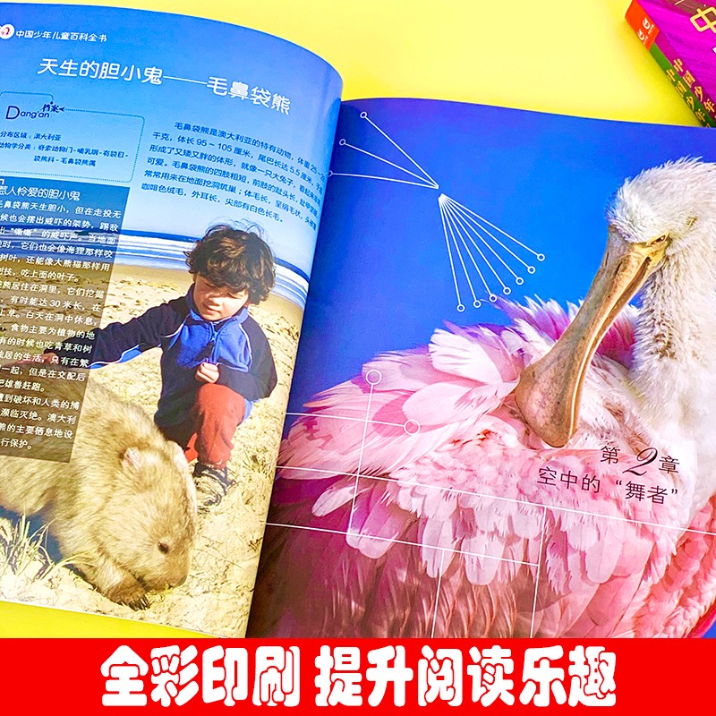 稀奇古怪的动物 [正版]中国少儿儿童百科全书-稀奇古怪的动物+稀奇古怪的地方+稀奇古怪的植物全3册 少年儿童科普图鉴高清大图