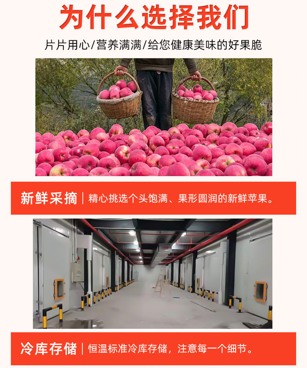 西北特产甘肃静宁宝宝零食非油炸纯苹果脱水制作脆片烘干苹果脆片30g*10高清大图