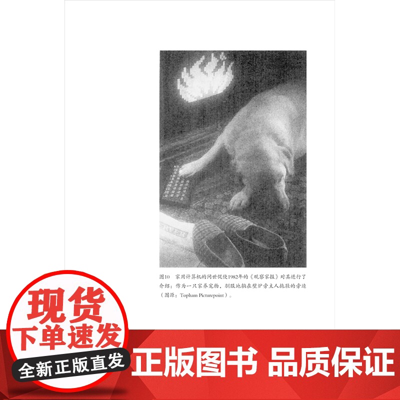 设计与时代译丛03 野性之物:日常生活中的物质文化高清大图