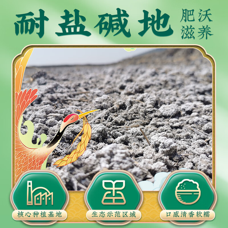 隆平芯米 耐盐碱有机大米高清大图