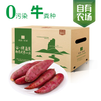 苏宁宜品推荐武夷一方田生态红薯(5斤)香甜香糯现摘现发新鲜红薯绿色无公害