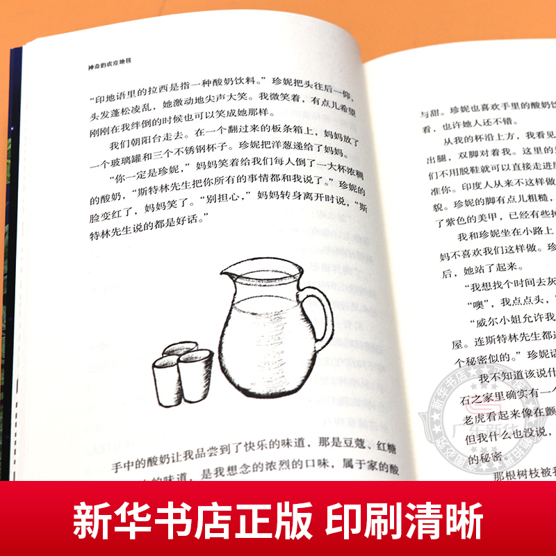 神奇的虎皮地毯 [正版]2024年广东省寒假读一本好书 神奇的虎皮地毯 琼海格著 奇幻魔法冒险故事成长励志读物小学生三四高清大图