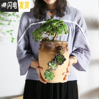 三维工匠创意个性多肉陶瓷花盆多孔多肉老桩拼盘花器多洞陶瓷法师老桩花盆 洞洞盆HZ146 大花盆容器