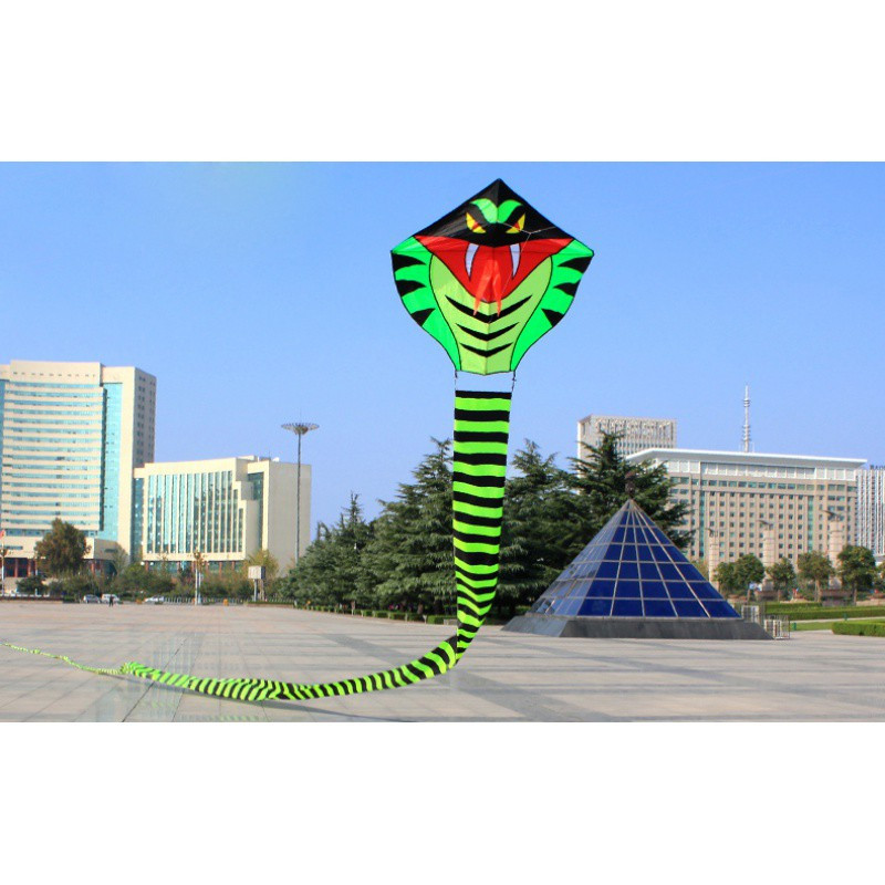 潍坊风筝15米30米竹叶青青蛇眼镜王蛇新款大型风筝创意三维工匠8米
