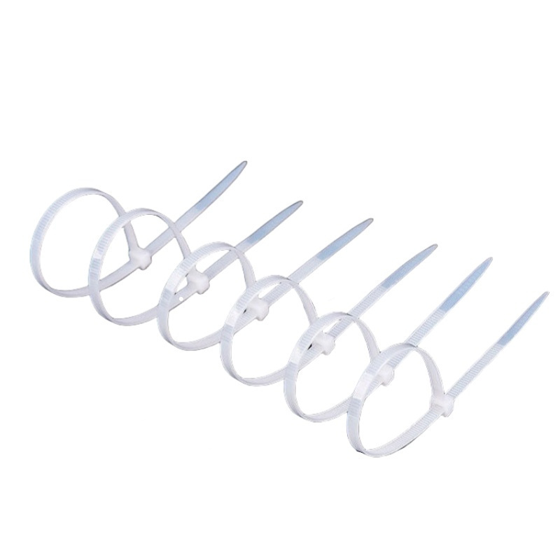 汇继 尼龙扎带 5*200mm*500条/包高清大图