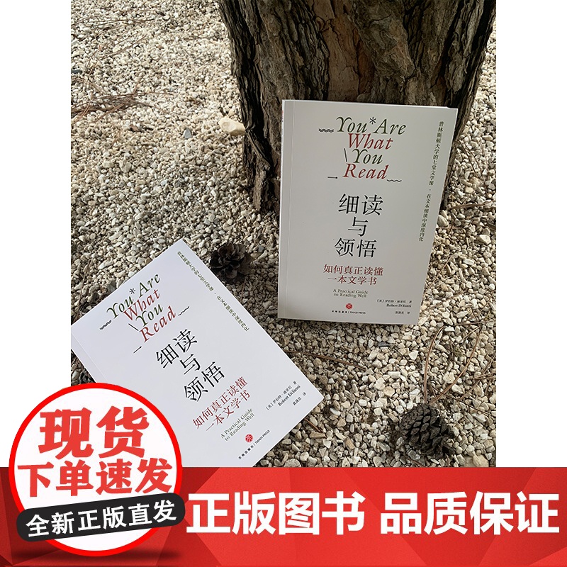 细读与领悟:如何真正读懂一本文学书(纽约大学人文学科教授罗伯特·迪亚尼)(文学评论与鉴赏)天地出版社高清大图