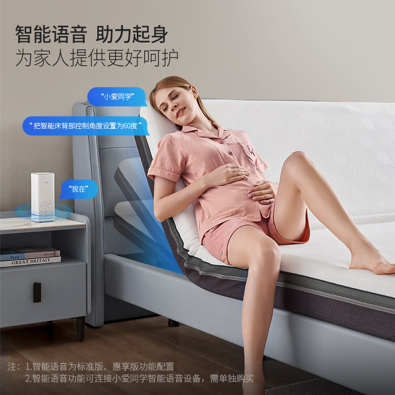 芝華仕(CHEERS)芝华仕现代简约多功能智能床电动可升降主卧家用科技布双人床Z018