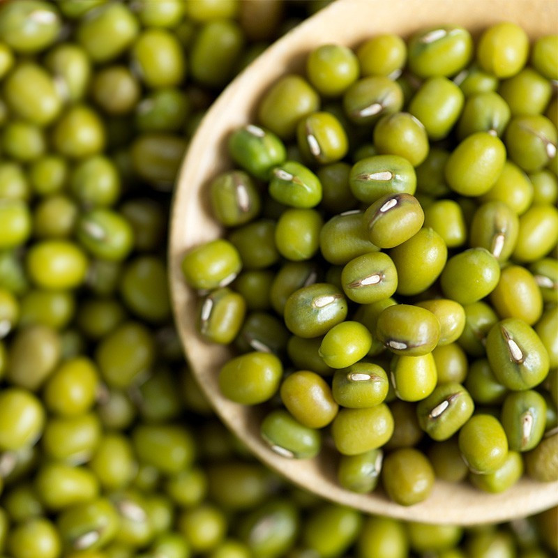 十款人气绿豆佳品榜推荐