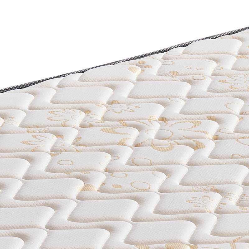 广亿隆宿舍公寓棕垫床垫高清大图