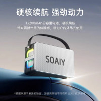 索爱(soaiy)K55超重低音炮大功率立体声广场舞便携户外k歌双麦电木吉他乐器音箱音响直播声卡
