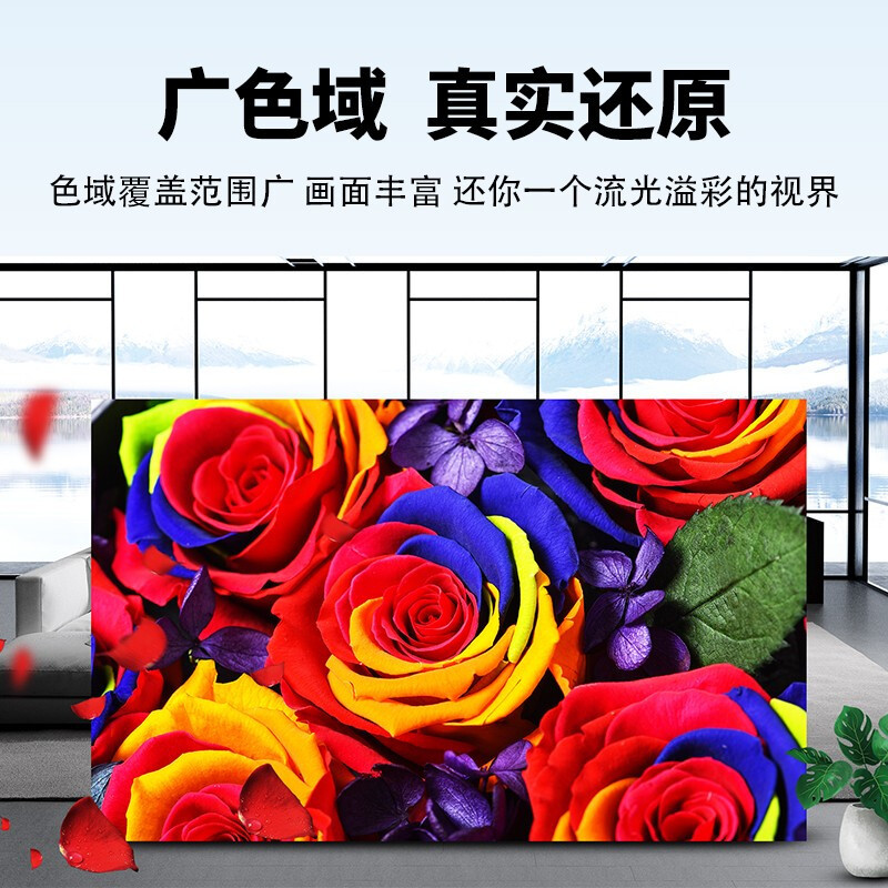 液晶显示器 洛菲特/LOFIT LFTHL100P