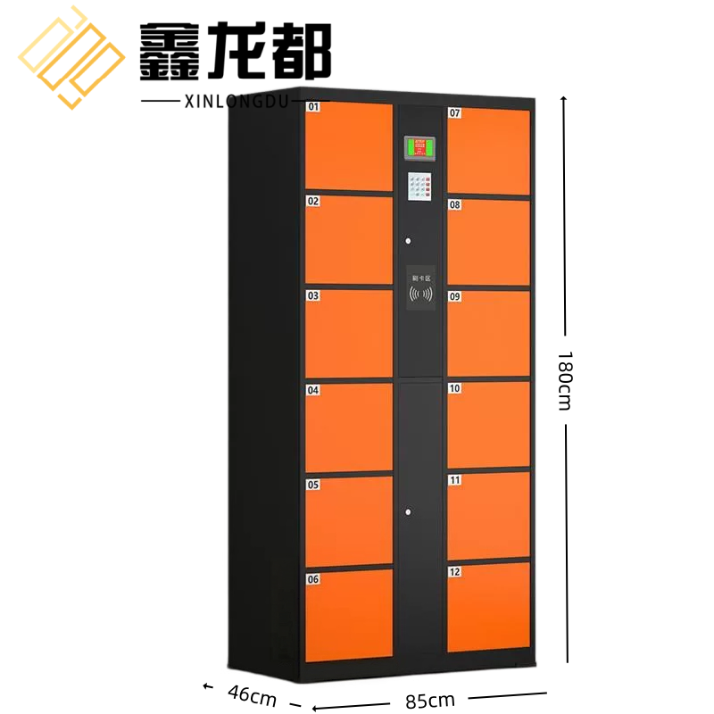 鑫龙都 电子存包柜12门台