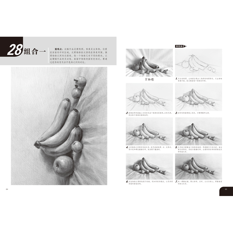 醉染图书素描轻松画:花果植物9787540155209高清大图