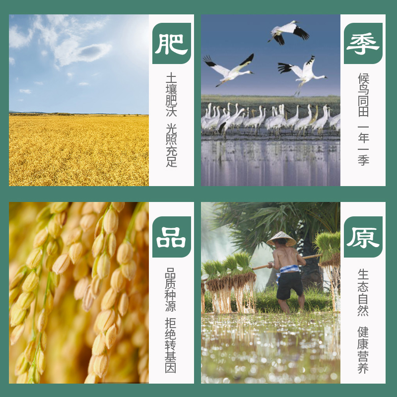 鄱阳湖 稻田香大米 江西长粒香米 南方软米新米 稻田香米2.5kg高清大图