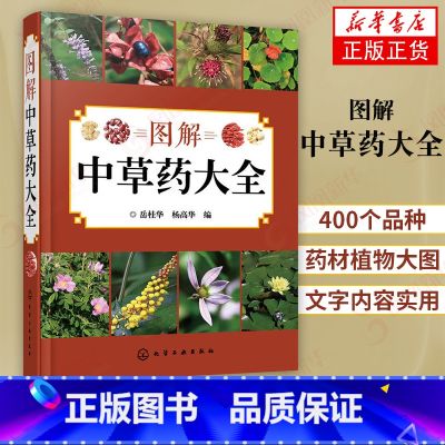 【正版】图解中草药大全 中医入门中草药大全书籍药材植物彩图中药大全 中医养生保健大全中草药识别百科全书 本草纲目中草药