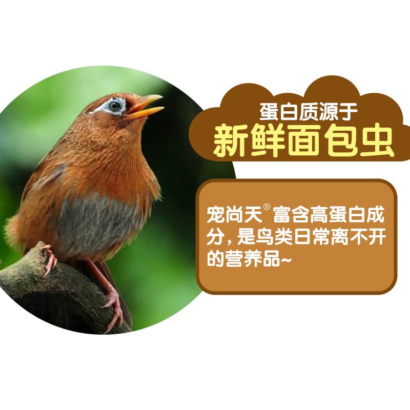 八哥专用营养虫干(400ml)罐装 面包虫干八哥鸟食面包虫八哥饲料鹩哥饲料鸟粮画眉鸟食饲料