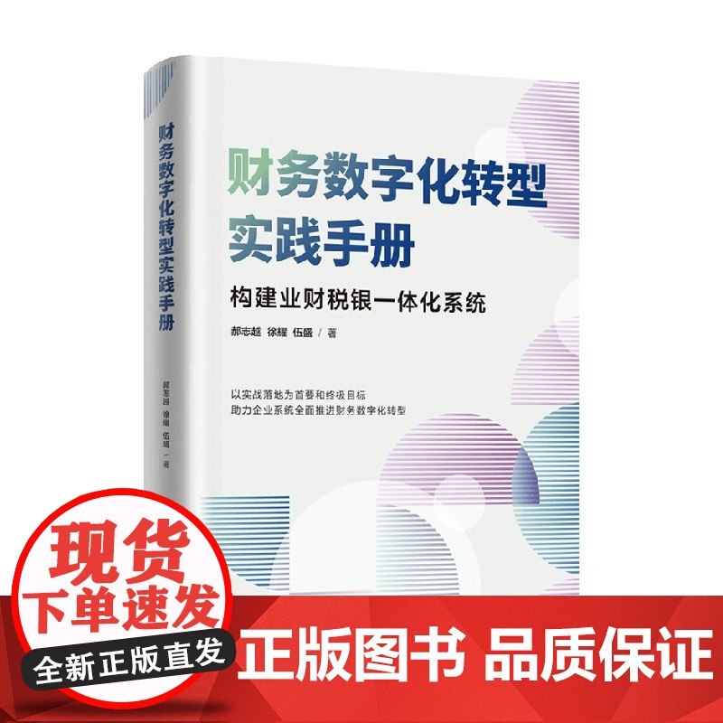 财务数字化转型实践手册 郝志越等 著 管理高清大图