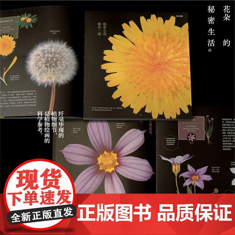 正版 花朵的秘密生活(两册套装)随书笔记本 日本的科普力作高清大图