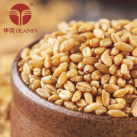 华闽（HUAMIN） 小麦米 500g农家小麦 五谷小麦粥粗粮饭 小袋杂粮真空包装 非有机非转基因