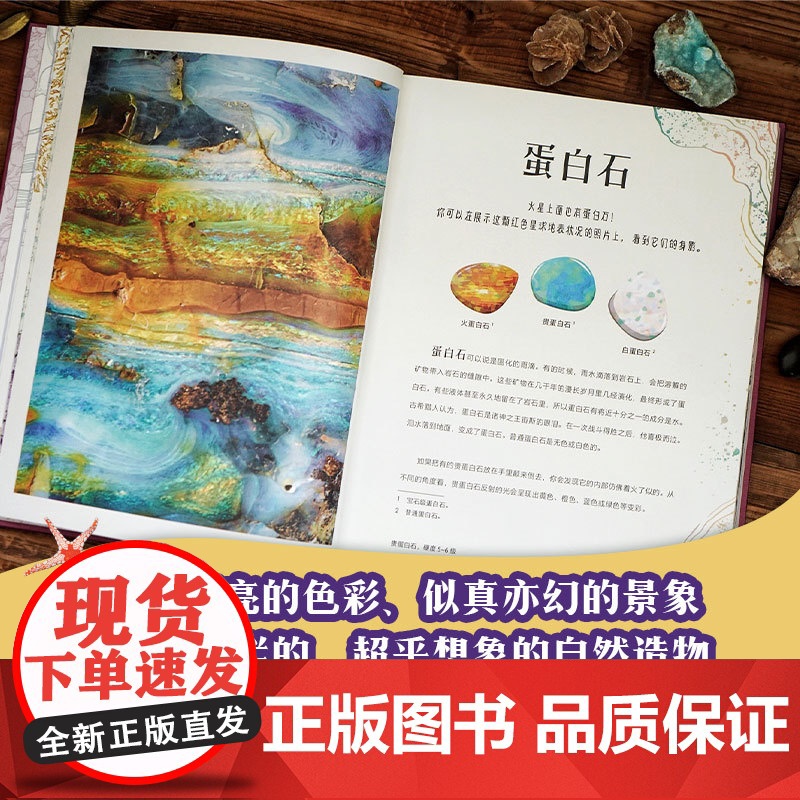 DK典藏博物馆(DK50周年特别纪念版)- 仿制邮票及印章套装(全6册)高清大图