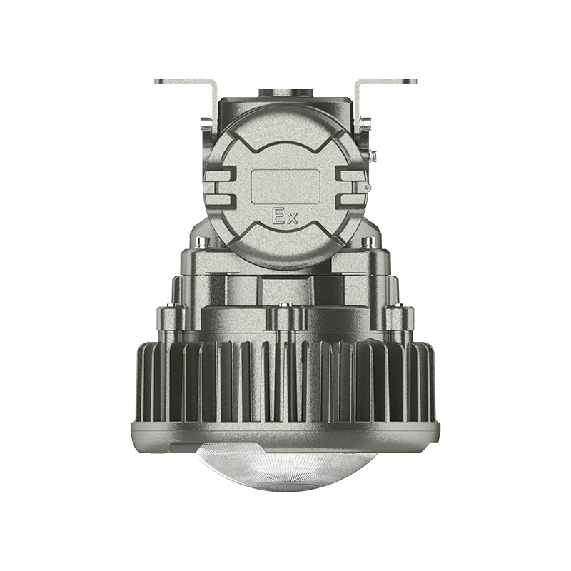 欧辉照明 (OHUIZAOMIN) OHBF8237-A-30W-吸顶款 LED防爆灯 套 1 付款后15天内发货高清大图