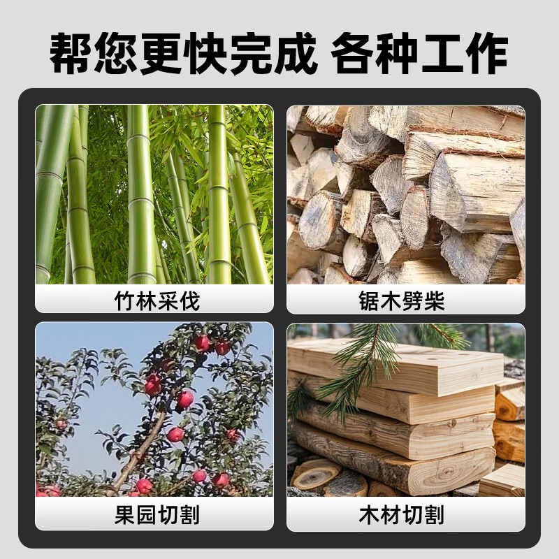凯姿(KAZZ) KZ30 8寸电锯(4Ah双电池+双链条) 家用小型多功能伐木锯 单位:台高清大图
