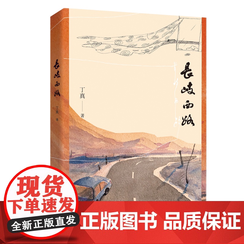 长岐西路 丁真 小说 人性与社会的哲学探讨 中国青年出版社正版高清大图
