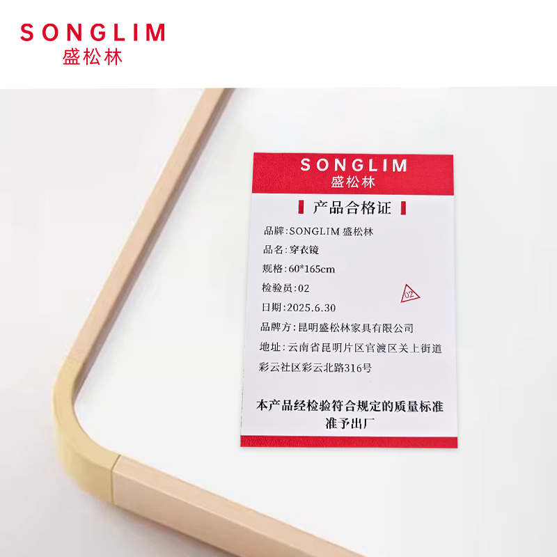 盛松林 镜子 60*165cm个