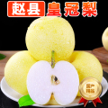【熊猫鸟】精品皇冠梨 新鲜水果 松脆多汁 净重8.7斤 单果250g以上