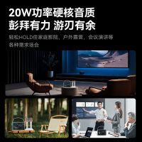 飞利浦TAS5519 K歌蓝牙音响麦克风无线话筒高音质便携式家用户外KTV