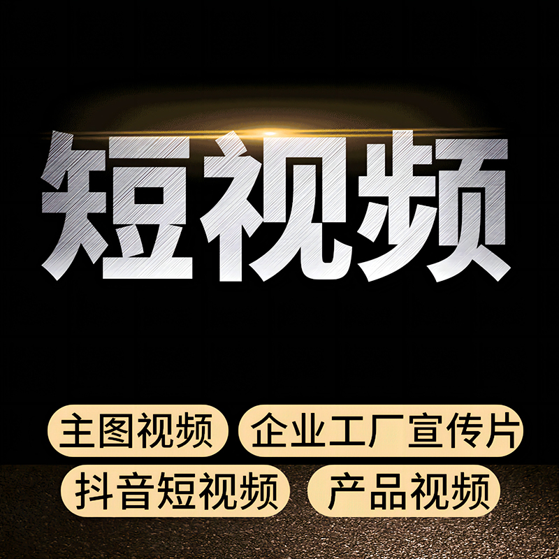 壹品千优美 高端商务职业照团队专业级摄像师1名 专业拍摄视频制作服务(1天仅限北京地区)