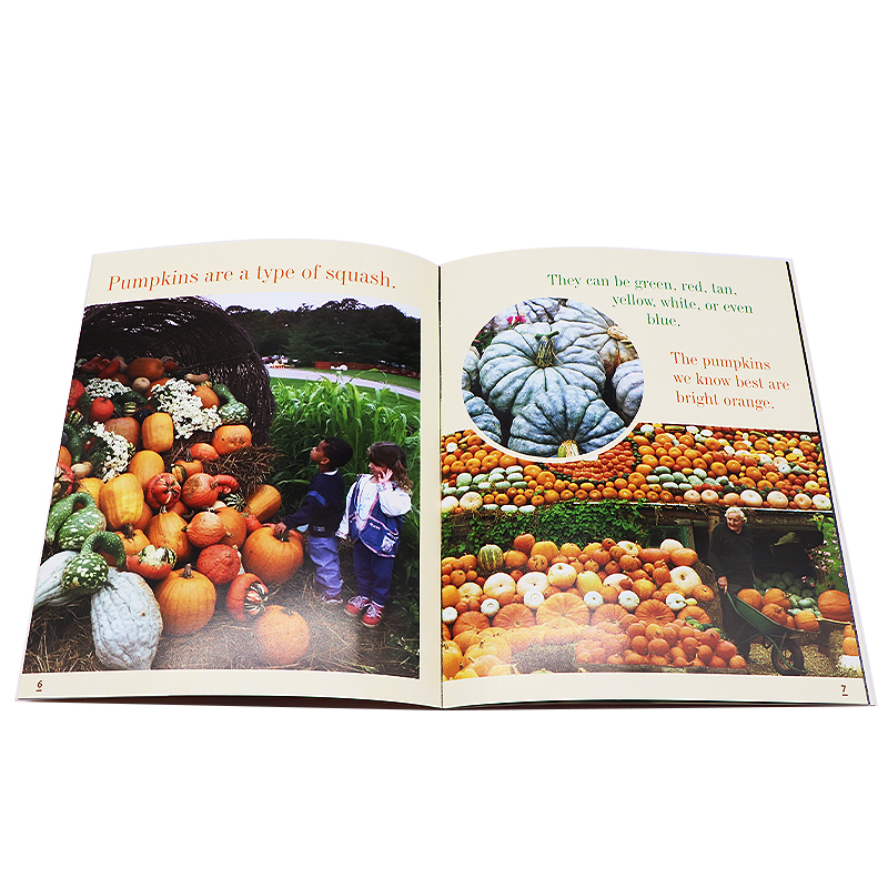 [正版]美国国家地理儿童 种子/芽/南瓜/派 英文原版绘本 Seed Sprout Pumpkin Pie 描述四季系