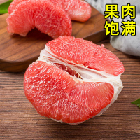 平和琯溪红心柚子 红肉蜜柚礼盒装 2粒共约 4-5斤