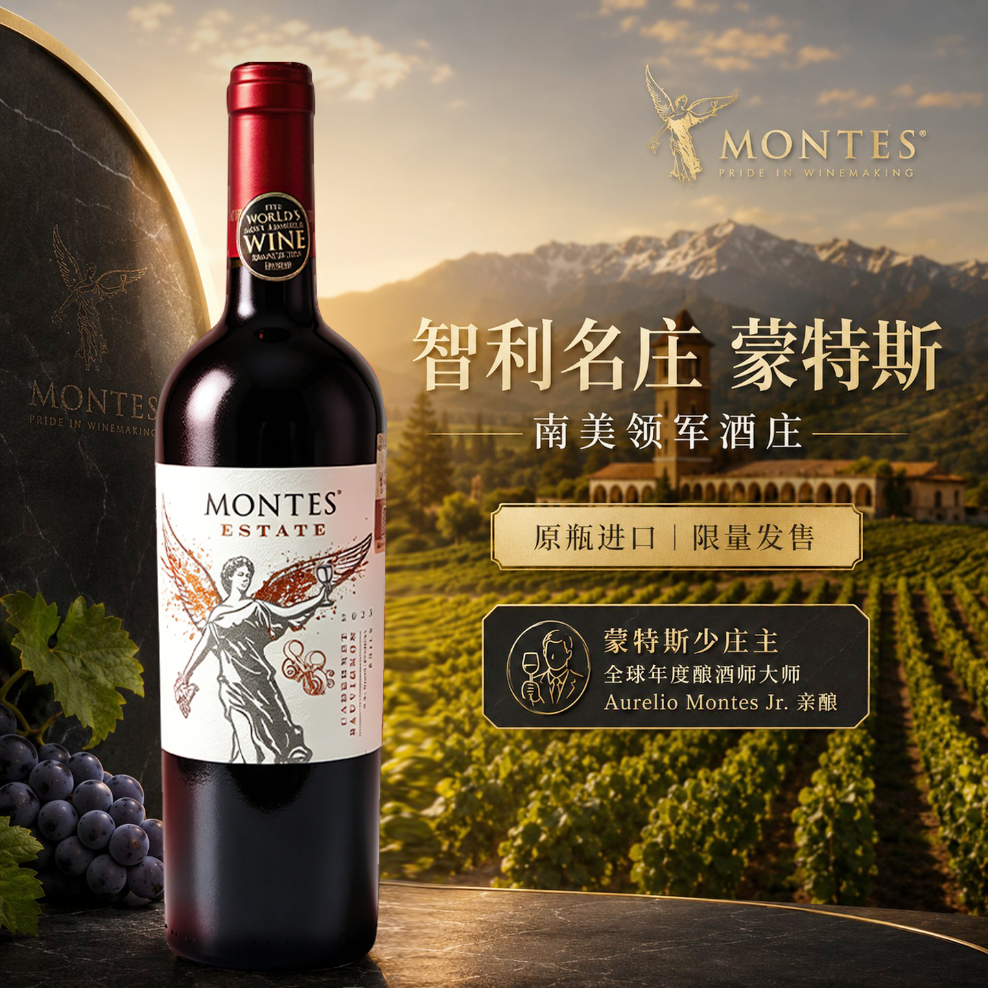 蒙特斯Montes天使庄园赤霞珠干红葡萄酒750ml*6瓶 智利原瓶进口红酒