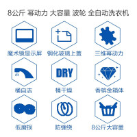 Haier海尔洗衣机8公斤B8018F31 防缠绕家用智能非变频节能静音小型全自动波轮洗衣机（金色）