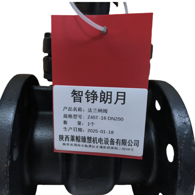智铮朗月 法兰闸阀 Z45T-16 DN250 个高清大图