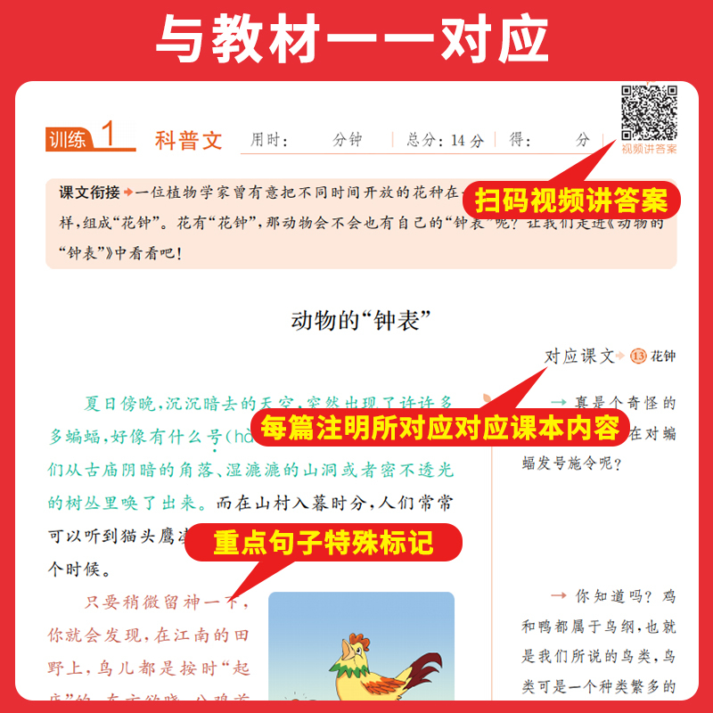 [英语]阅读训练100篇 小学六年级 [正版]2023新小学语文英语同步阅读一年级二 三四五六年级上下册语文英语阅读理解