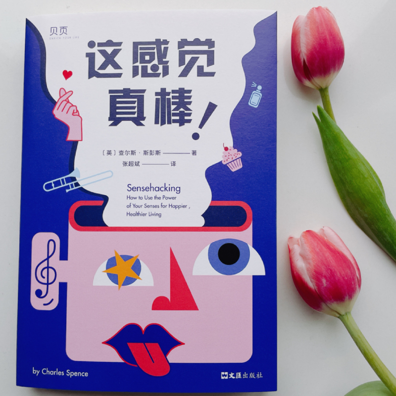 音像这感觉真棒!(英)查尔斯·斯彭斯
