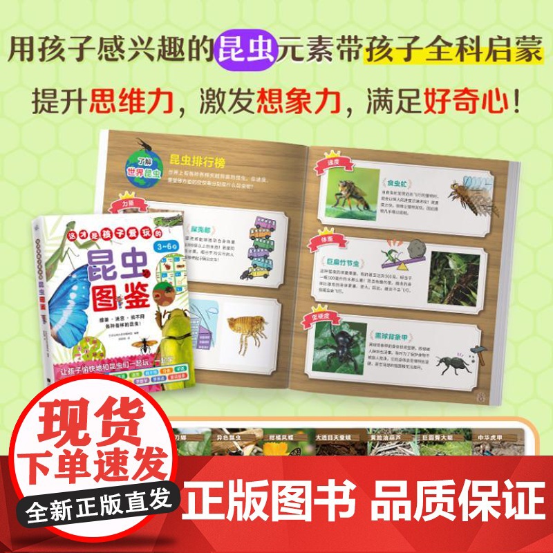 这才是孩子爱玩的昆虫图鉴(昆虫主题全科启蒙!昆虫图鉴+益智游戏,让孩子边玩边学知识!) 9787559488169 江苏高清大图