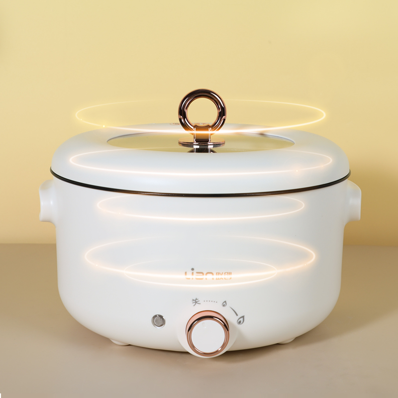 联创5L电火锅DF-BL8058M高清大图