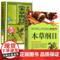 【2册】新家庭书架：本草纲目+手绘典藏彩图本《本草纲目》 书籍