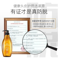 滋源seeyoung生姜防脱强根健发保湿洗发水535ml+235ml+200ml (中干性) 赠品随机