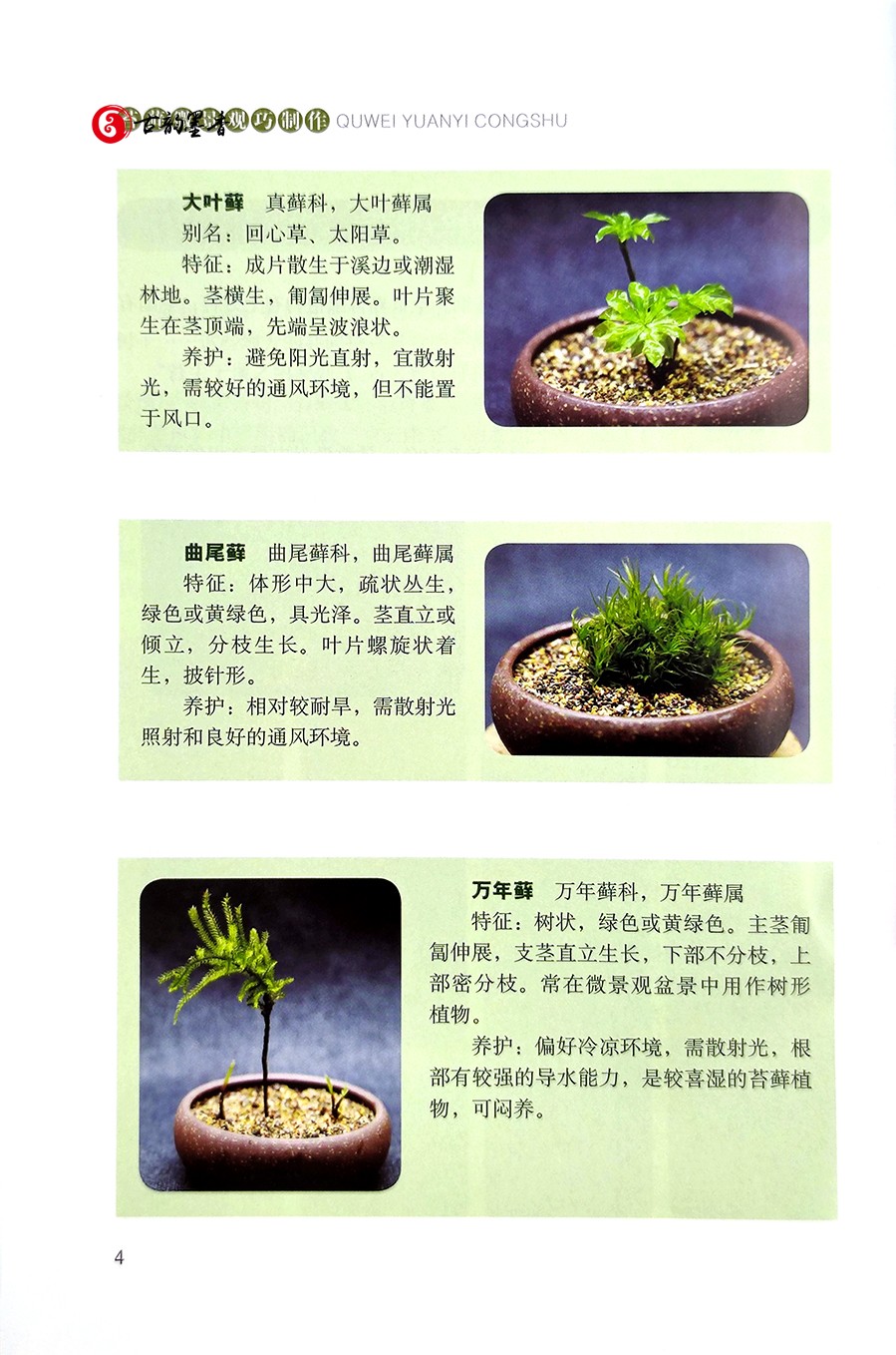 [醉染正版]正版 苔藓微景观巧制作 25770 高琼 趣味园艺丛书 家庭园艺 养花 造景艺术 苔纲 藓纲 角苔纲 苔高清大图