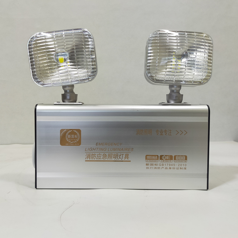 领航电器(LHDQ) RF-ZFZD-E8W-AVZD 双头应急灯 8W 应急时间180min 冷光 220V IP30
