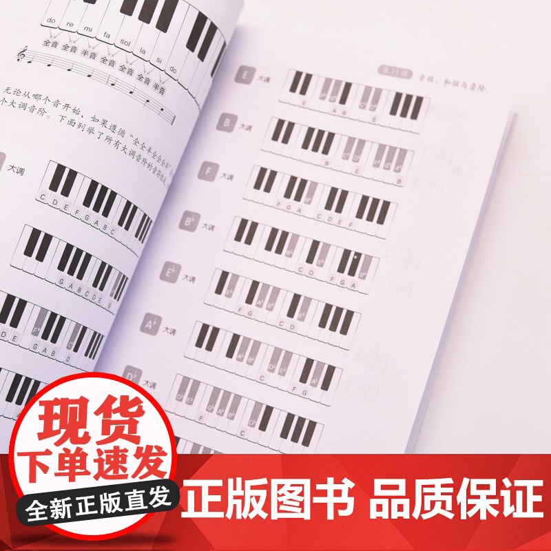 零基础学钢琴 视频版 成年人学钢琴初学者入门乐理知识基础易上手成人自学钢琴视频教程五线谱识谱入门高清大图