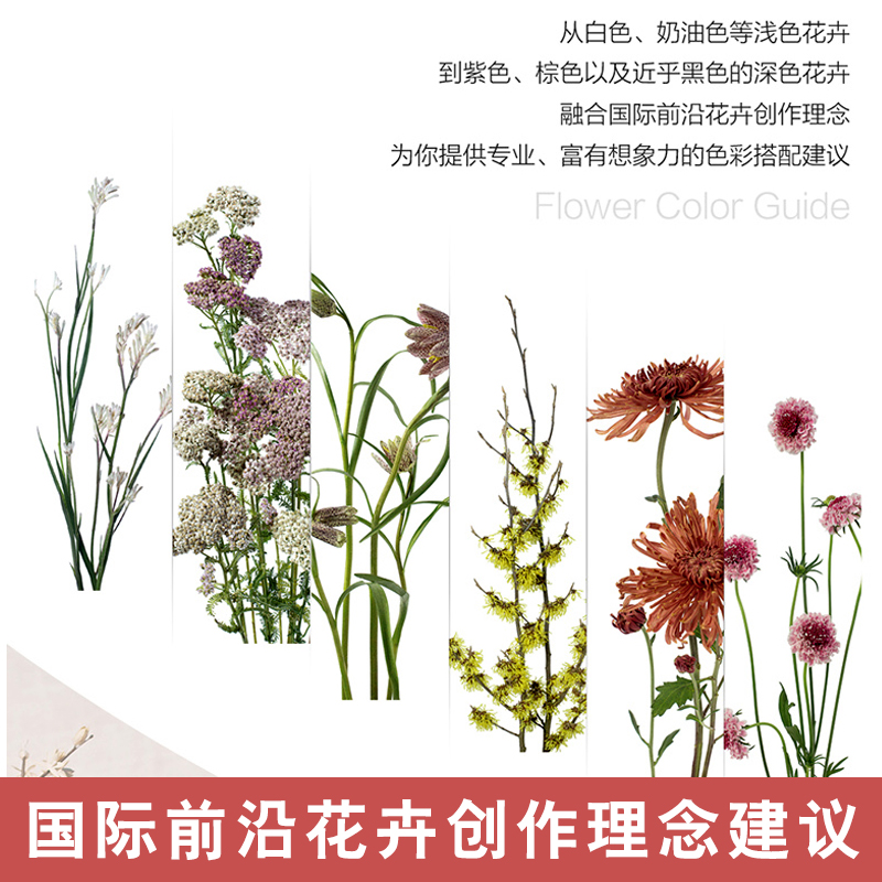 [正版]共483页 花卉色彩搭配手册 《小姐姐的花店 欧阳娜娜同款》花艺师工具书配色方案鲜花插花基础入门百科绘画素材照高清大图