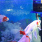 鱼缸过滤器上部过滤三合一潜水泵抽水泵水族箱冲氧泵系列