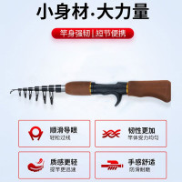 柄迷你钓鱼竿短竿海竿水滴轮冰钓竿鱼杆渔具 1.6米棕色路亚(不带线轮)